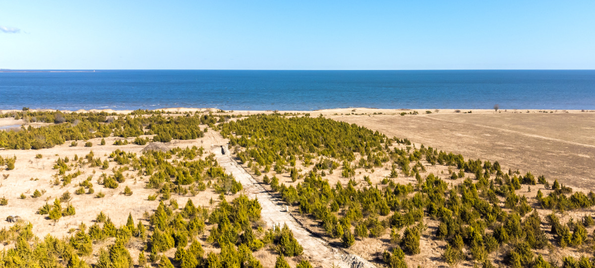 Parda, Suure-Rootsi, Saaremaa vald, Saare maakond