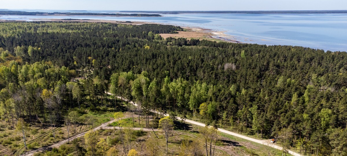 Markus , Lääne maakond, Lääne-Nigula vald, Telise küla / Tällnäs