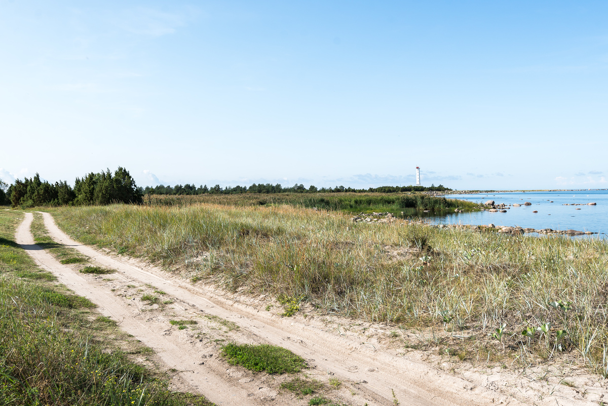 Allika, Hõbesalu, Lääneranna vald, Pärnu maakond