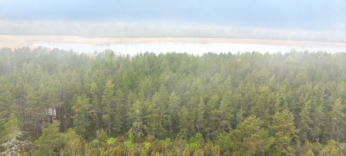 Allika, Hõbesalu, Lääneranna vald, Pärnu maakond