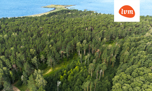 Allika , Lääneranna vald