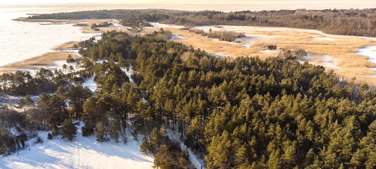 Allika, Hõbesalu, Lääneranna vald, Pärnu maakond