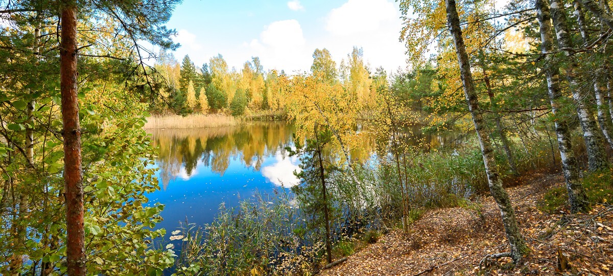 Laueri , Pärnu maakond, Häädemeeste vald, Leina küla