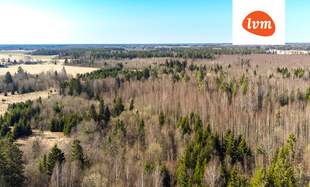 Lundi , Lääneranna vald