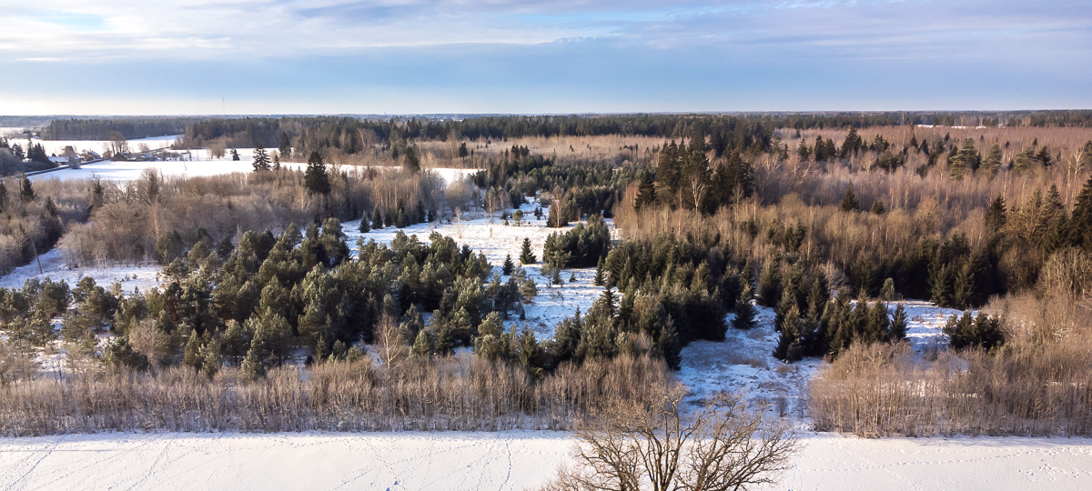 Lundi, Naissoo, Lääneranna vald, Pärnu maakond