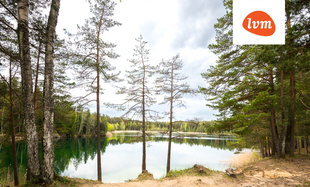 Pustuski tee 16, Pärnu