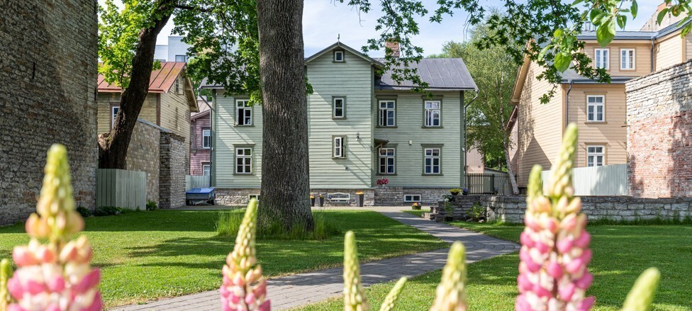 Luise 19, Harju maakond, Tallinn, Kesklinna linnaosa