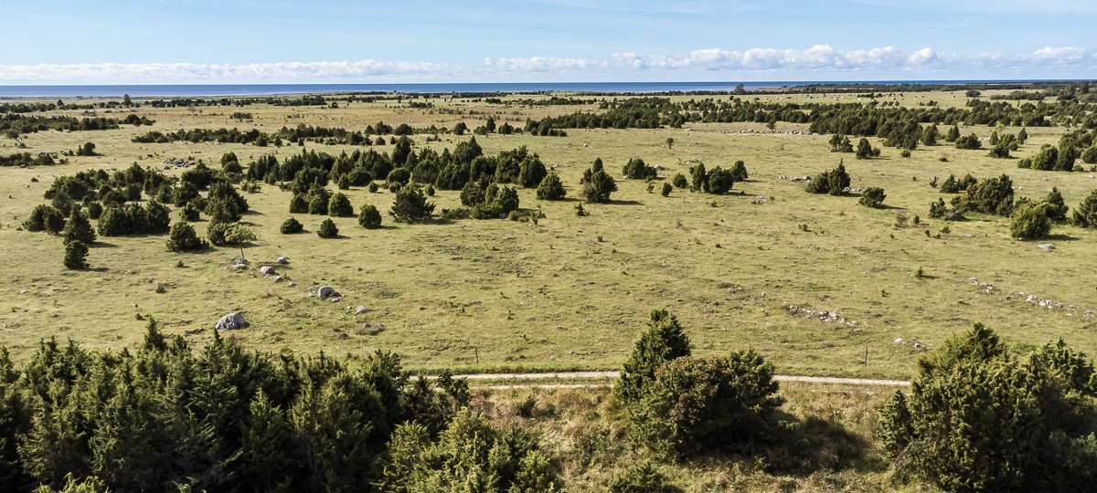 Randeli , Saaremaa vald