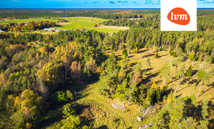 Lepiku , Saaremaa vald