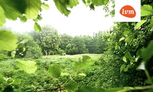 Jõesoo Mässa küla , Saaremaa vald