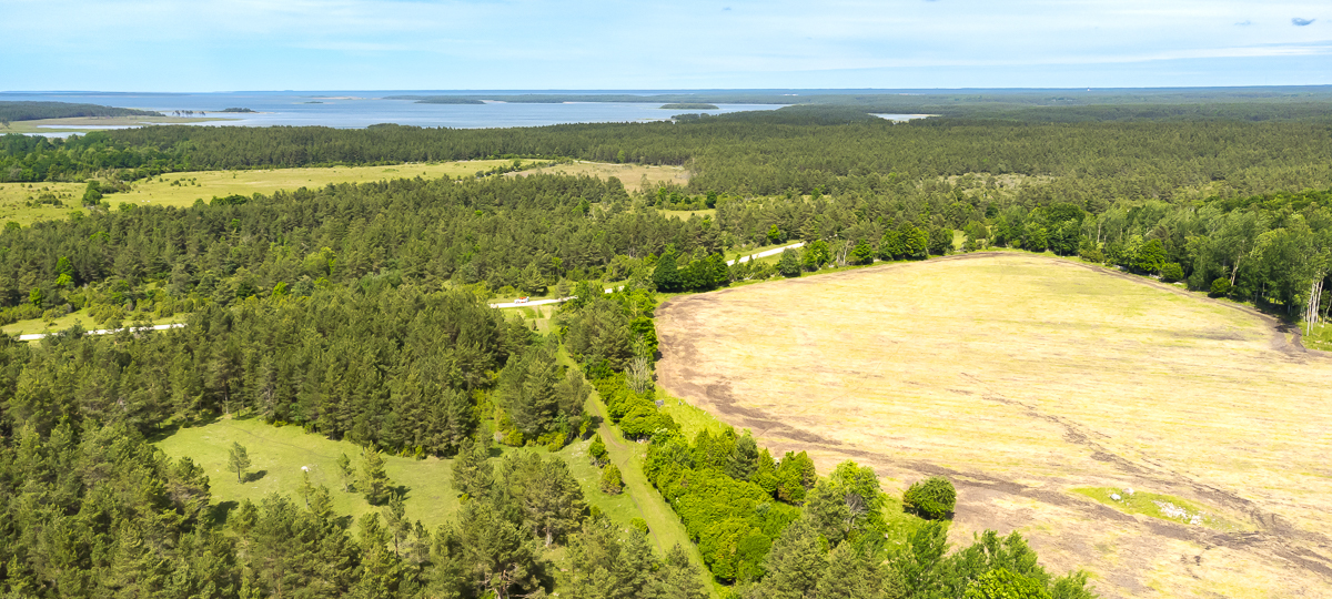Saadu, Atla, Saaremaa vald, Saare maakond