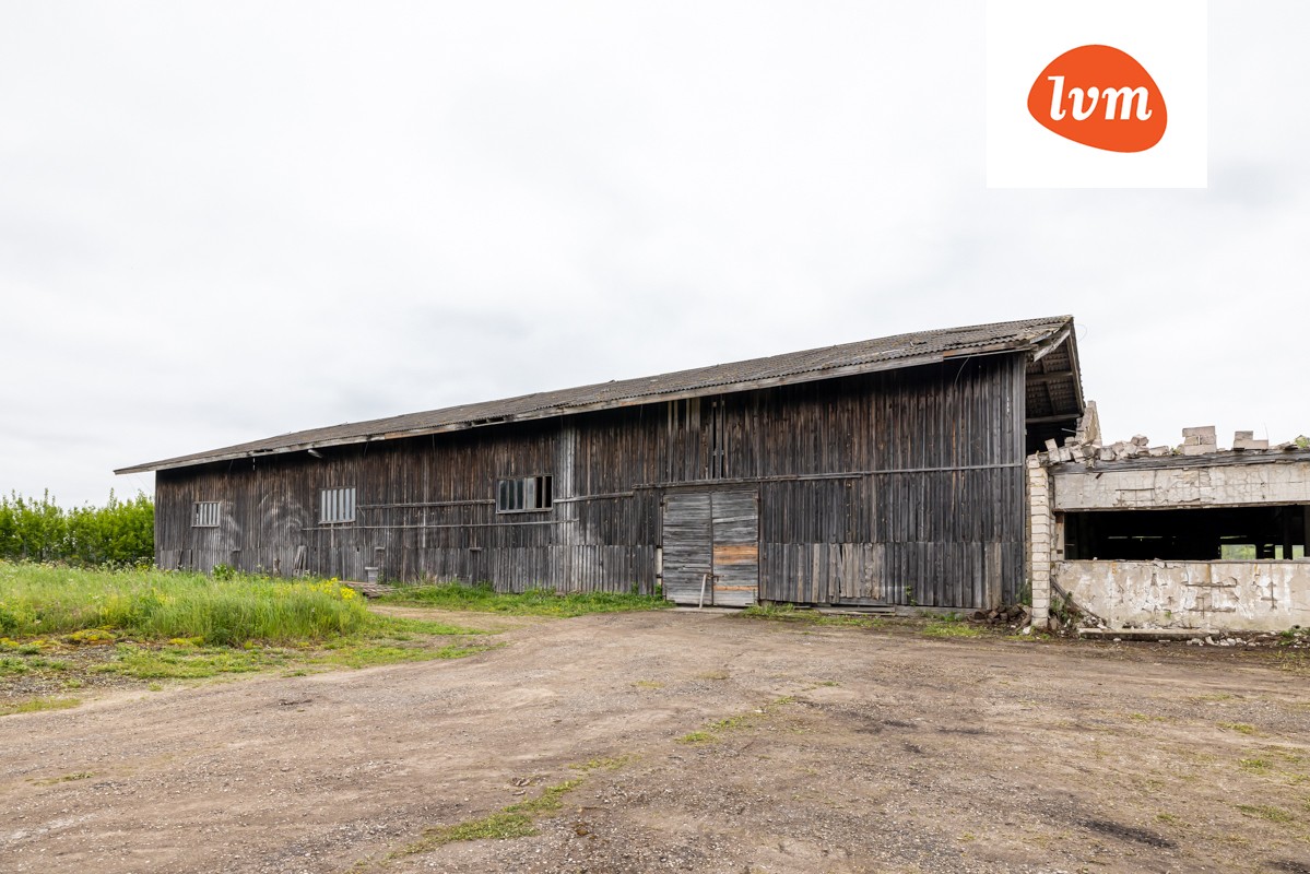 Jassu, Neitla, Järva vald