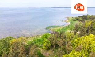 Merimetsa Kastna , Pärnu