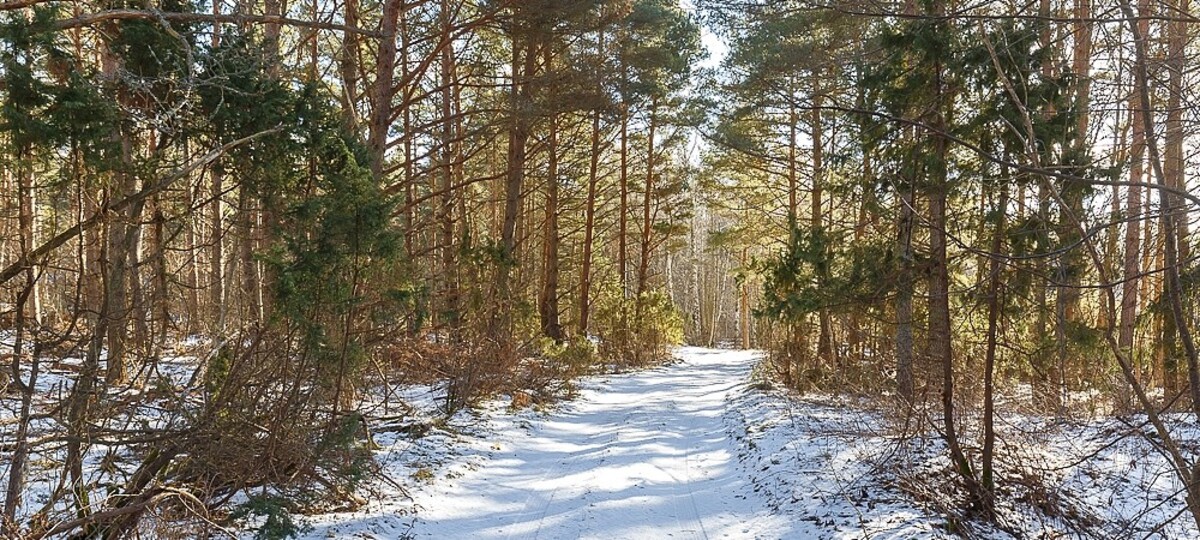 Kännu , Saare maakond, Saaremaa vald, Murika küla