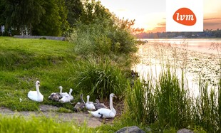 Roosi 6, Pärnu linn
