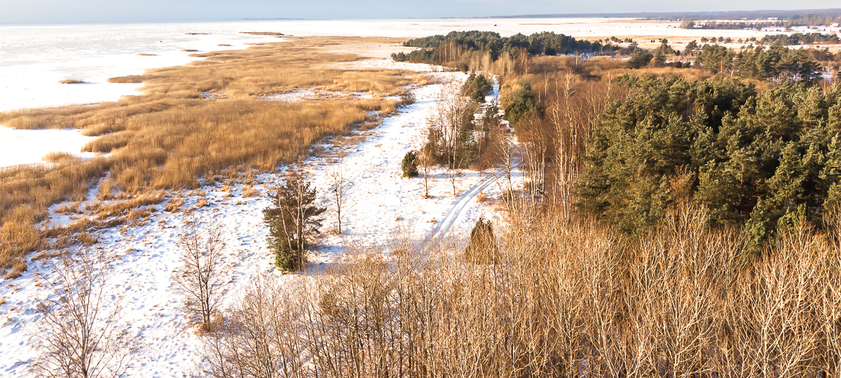 Viina, Liu, Pärnu, Pärnu maakond