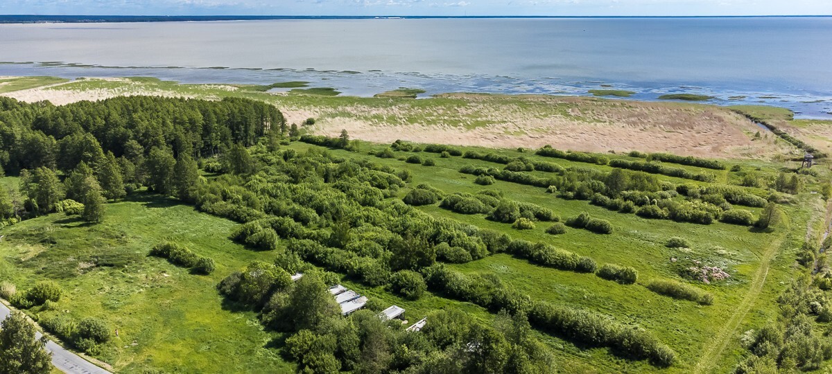 Sassi , Pärnu maakond, Pärnu linn, Saulepa küla