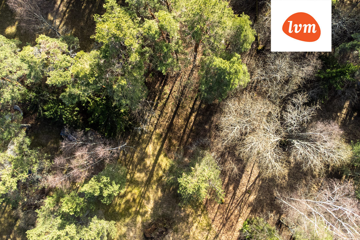 Väike-Tammemäe, Tammemäe, Saku vald, Harju maakond