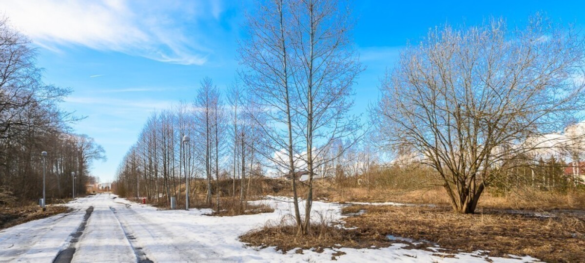 Ristiku tee 7, Pärnu maakond, Pärnu linn, Papsaare küla