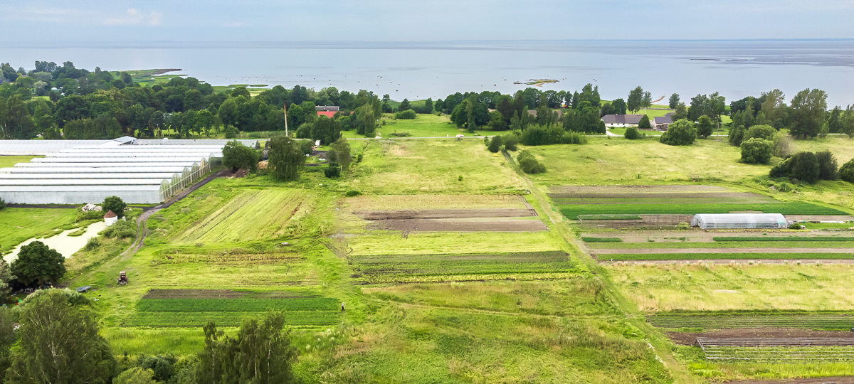 Allika tänav 9, Pärnu maakond, Häädemeeste vald, Võiste