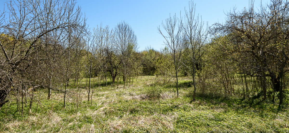 Orava , Saare maakond, Saaremaa vald, Kõljala