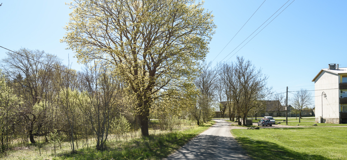 Orava, Kõljala, Saaremaa vald, Saare maakond