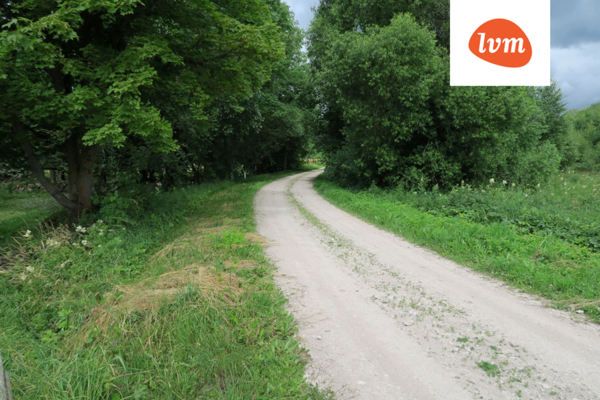Oru , Saare maakond, Saaremaa vald, Vedruka
