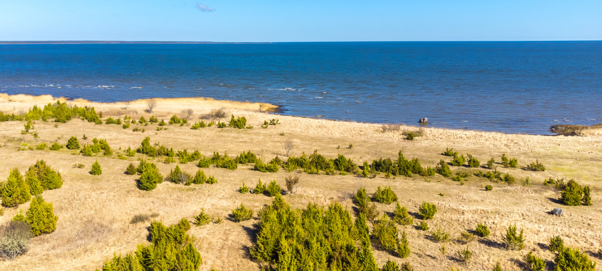Laine, Suure-Rootsi, Saaremaa vald, Saare maakond