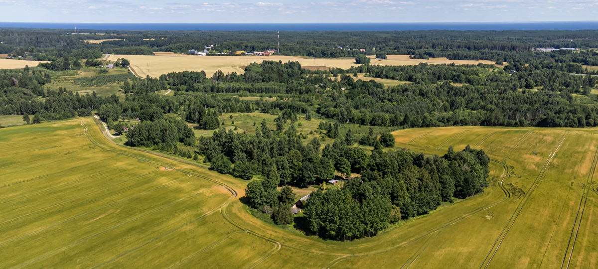 Tamme, Naelavere, Peipsiääre vald, Tartu maakond