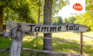 Tamme , Peipsiääre vald