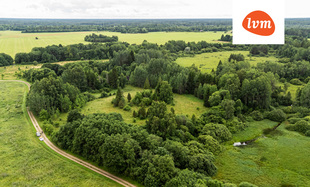 Taga-Pirita , Saue vald