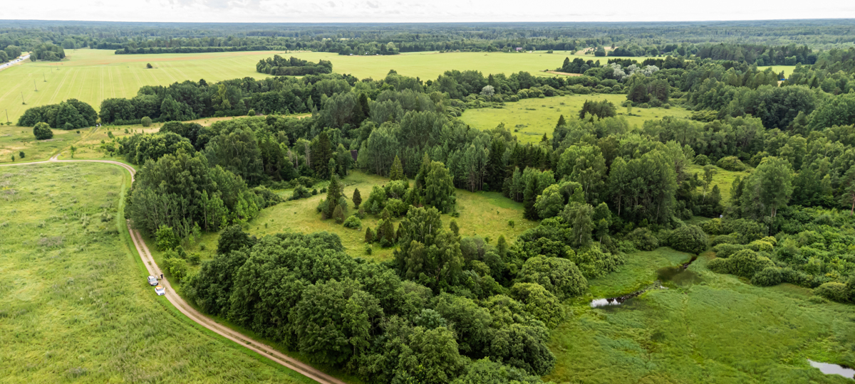 Taga-Pirita, Haiba, Saue vald, Harju maakond