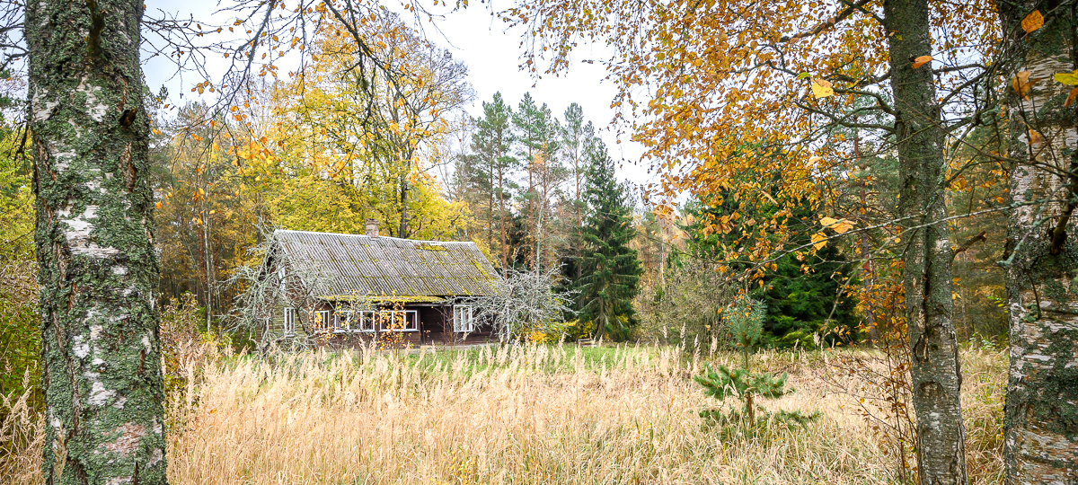 Lauri , Pärnu maakond, Häädemeeste vald, Pulgoja
