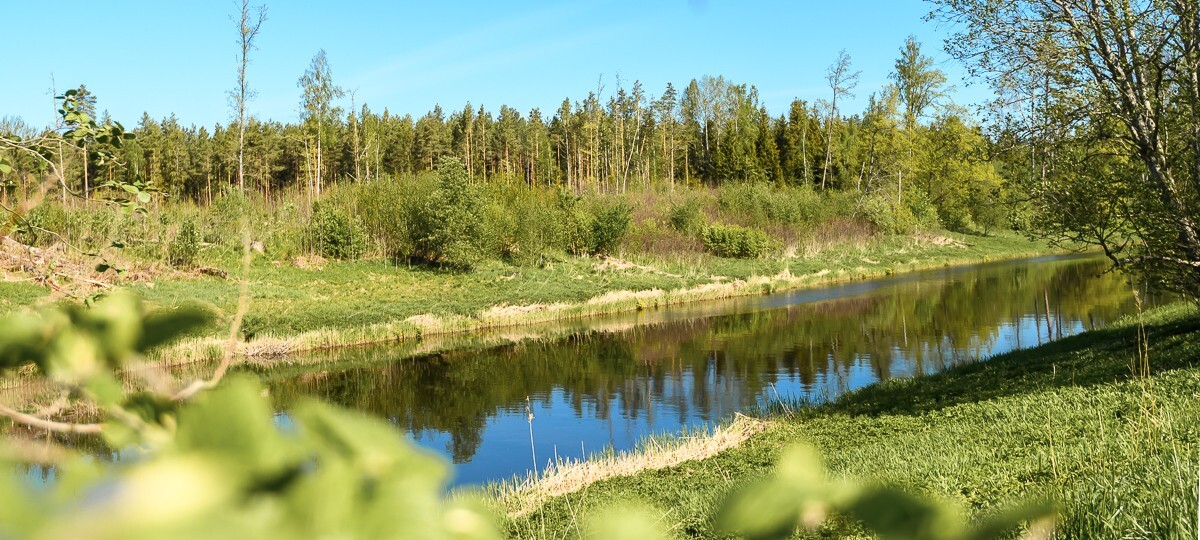 Rahuoja , Pärnu maakond, Põhja-Pärnumaa vald, Rahnoja küla