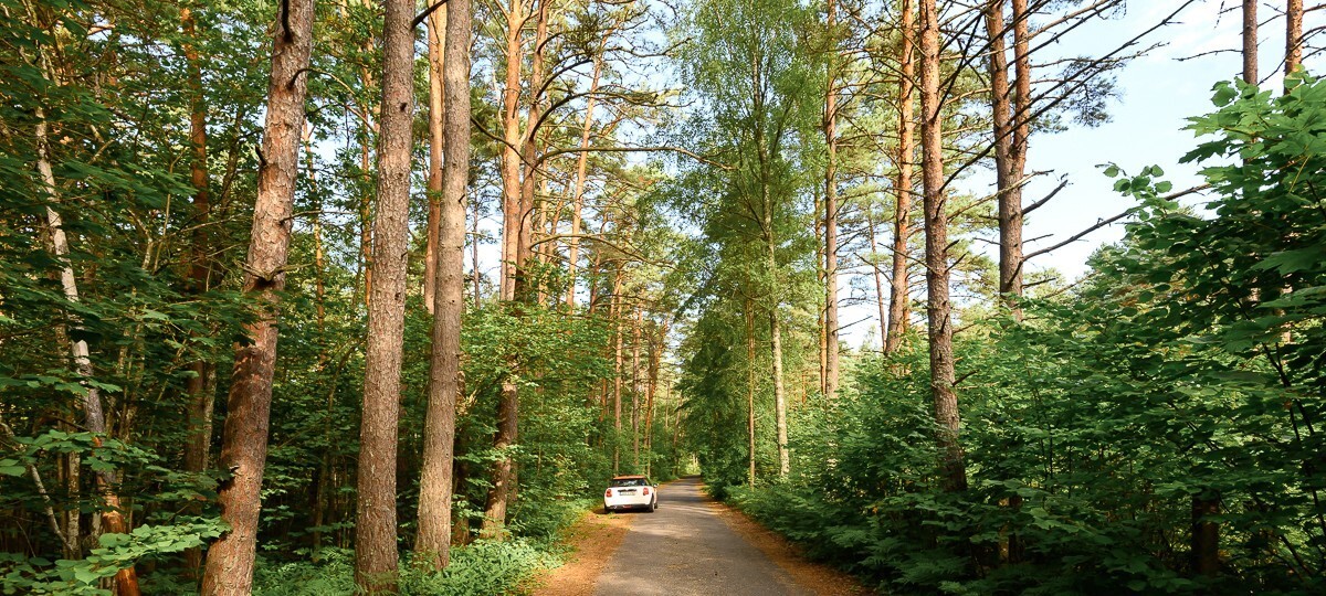 Liiva , Pärnu maakond, Lääneranna vald, Matsi küla