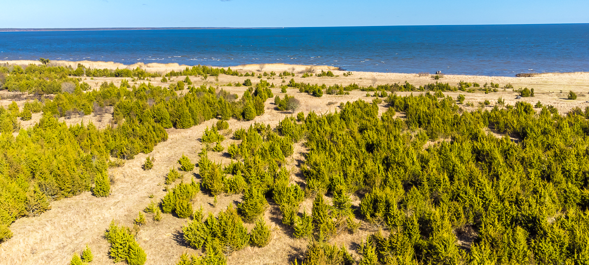 Junga, Suure-Rootsi, Saaremaa vald, Saare maakond
