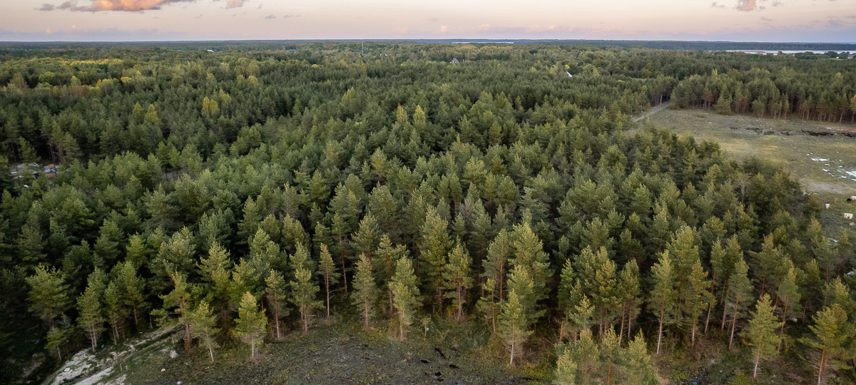 Tinuri , Saare maakond, Saaremaa vald, Muratsi