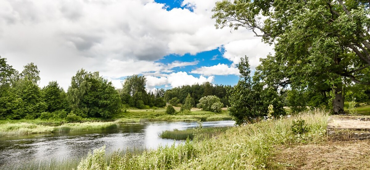 Hoone , Pärnu maakond, Tori vald, Taali küla