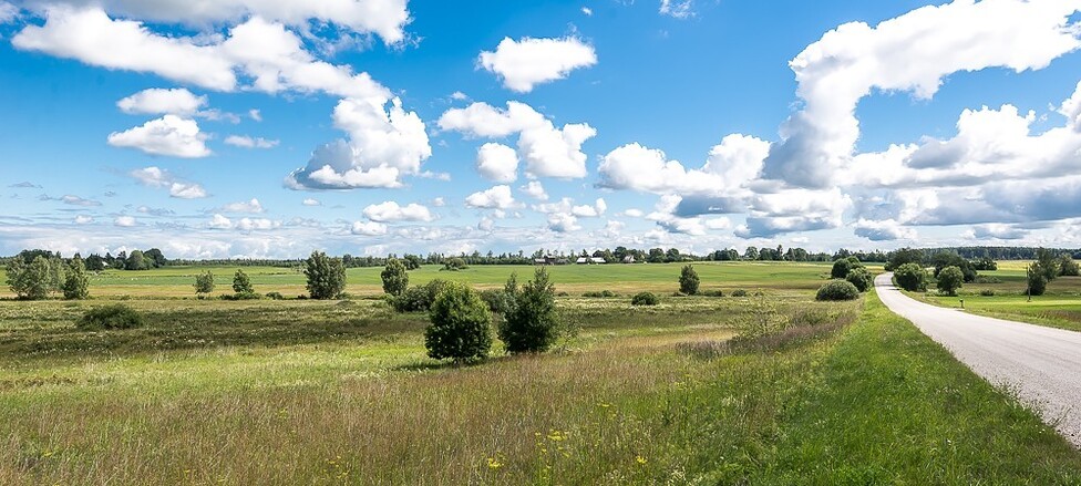 Kullamäe , Tartu maakond, Tartu vald, Vedu küla