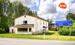 Viinapuu , Saaremaa vald
