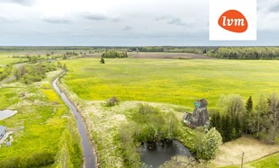 Tuuleveski , Pärnu linn