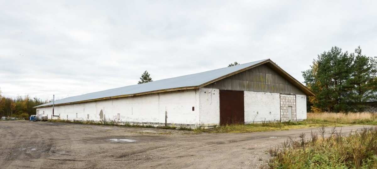 Tammuru tehnoküla 7, Pärnu maakond, Pärnu linn, Tammuru küla