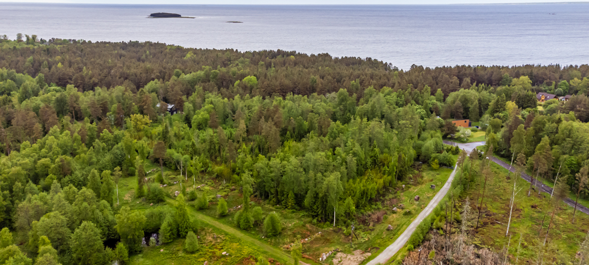 Hansuli, Haapse, Jõelähtme vald, Harju maakond