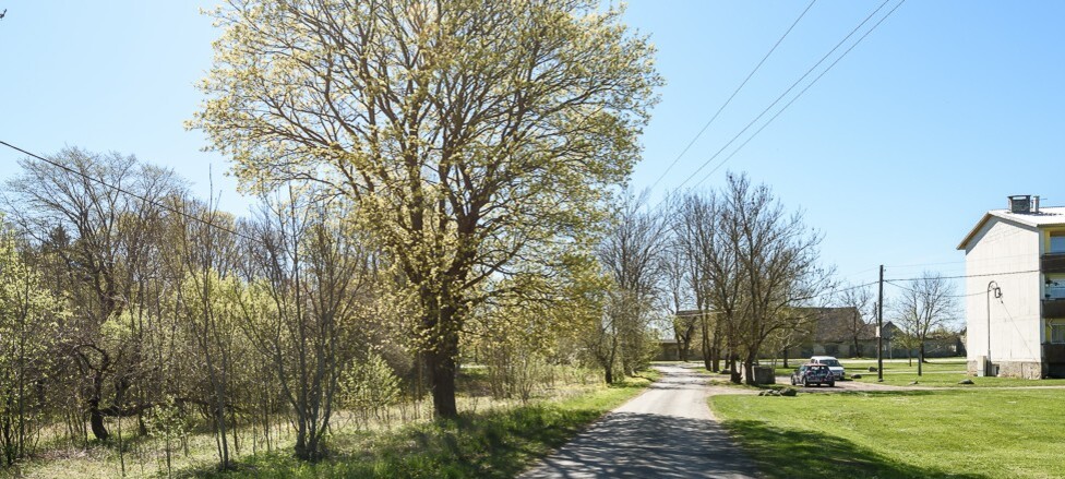 Orava , Saare maakond, Saaremaa vald, Kõljala küla