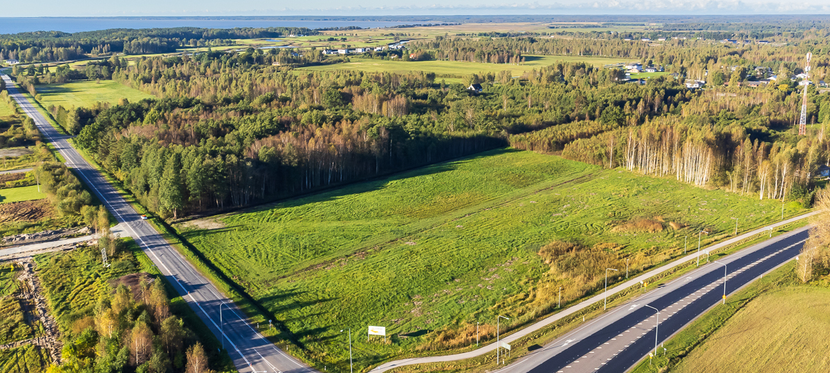 Aasa-Laine, Papsaare, Pärnu, Pärnu maakond