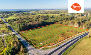 Aasa-Laine , Pärnu