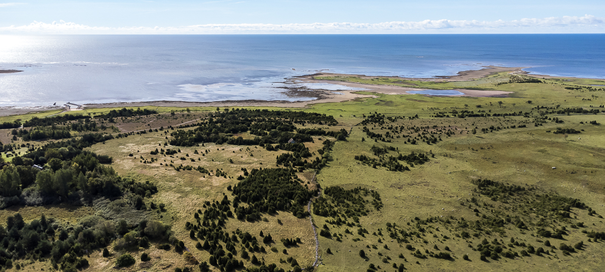 Randeli , Saare maakond, Saaremaa vald, Karala