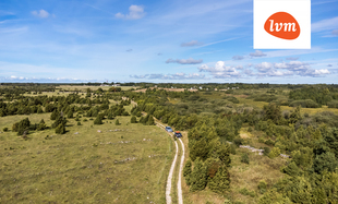 Randeli , Saaremaa vald