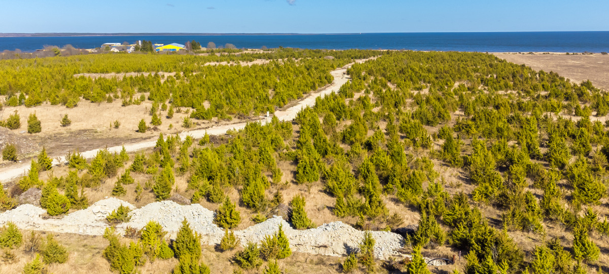 Kaluri, Suure-Rootsi, Saaremaa vald, Saare maakond