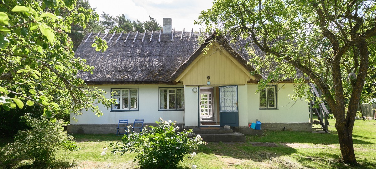 Vanapeedu , Saare maakond, Saaremaa vald, Rahuste küla